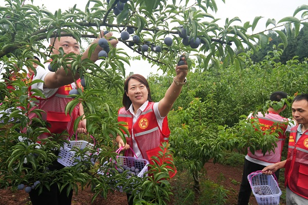 1687650828267004.jpg 微信图片_20230625074753.jpg