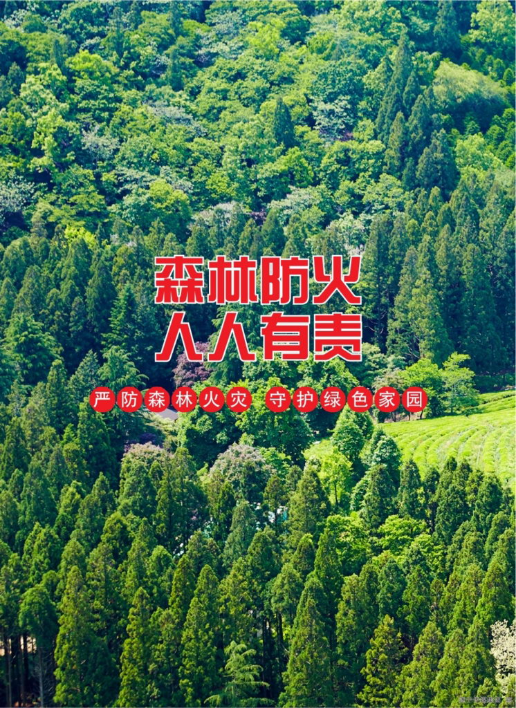 森林防火 人人有责