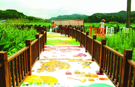 十里荷画别样美